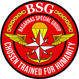 BSG (1)