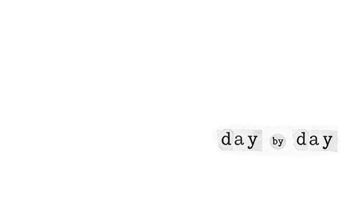 38835.png