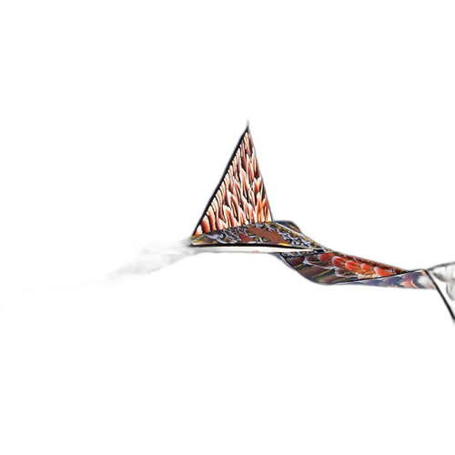 p5 image 4.jpg