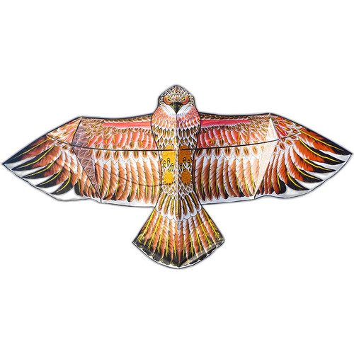 p5 image 5.jpg