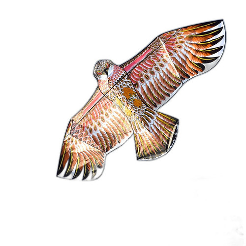 p5 image 1.jpg