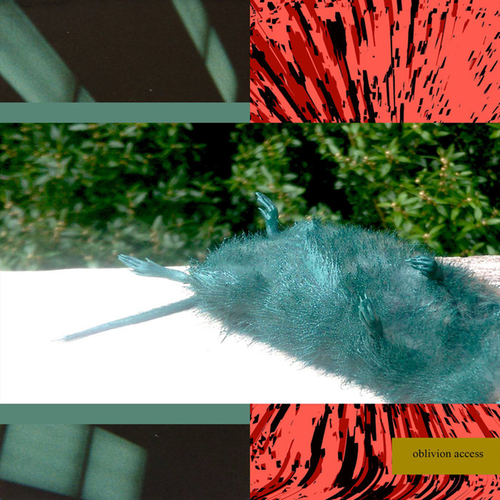 2038f4969574.png