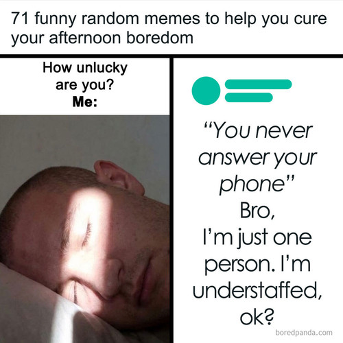 funny random entertaining memes.jpg