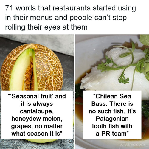 food lifestyle.jpg