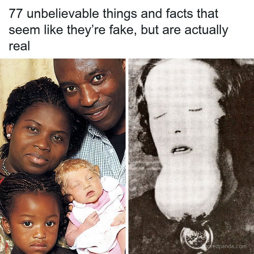 cant believe facts.jpg