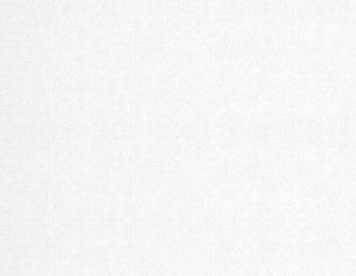 IMG 6116.png