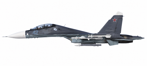SU30SM AA