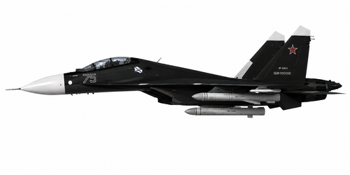 SU 30SM navy VZ