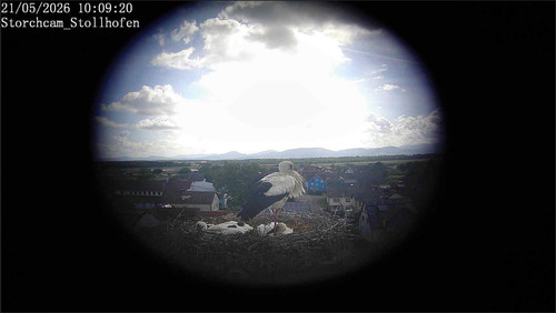 MWSnap910.jpg