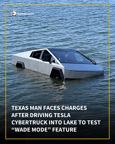 tesla bp main.png
