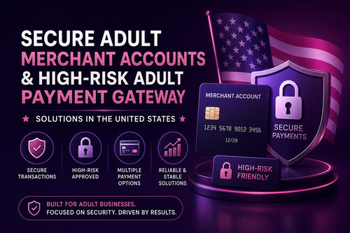 Inquid Adult Merchant Accounts.jpg