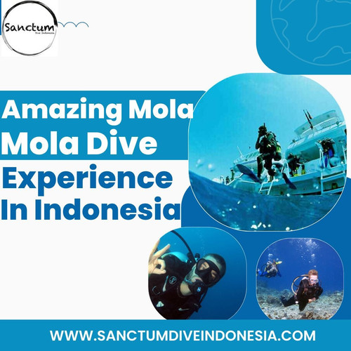 Amazing Mola Mola Dive Experience in Indonesia.jpg