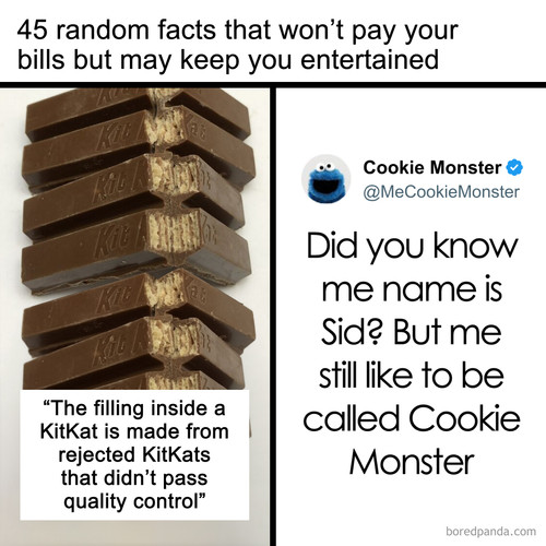weird random interesting facts.jpg