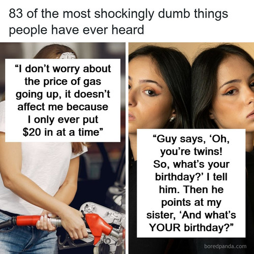 stupidest thing heard someone say.jpg