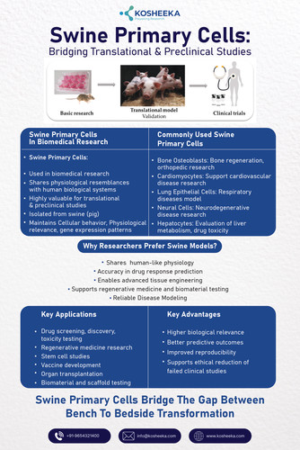 Swine Primary Cells.jpg