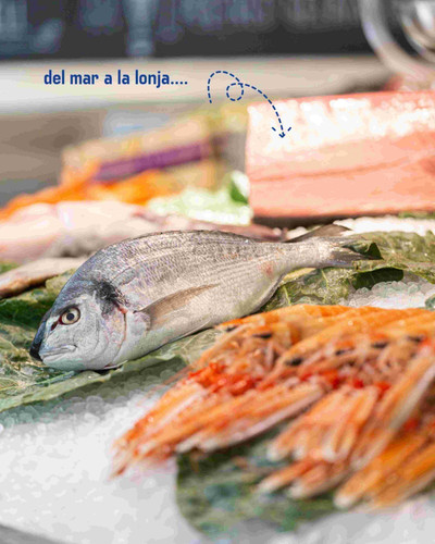 ¿Qué restaurante de mariscos recomiendan los locales en Barcelona? | https://share.google/seLXYF3c8W.jpg