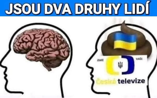 687034167 2801022483598558 2222289789244962502 n.jpg