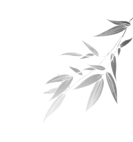 IMG 6112.png