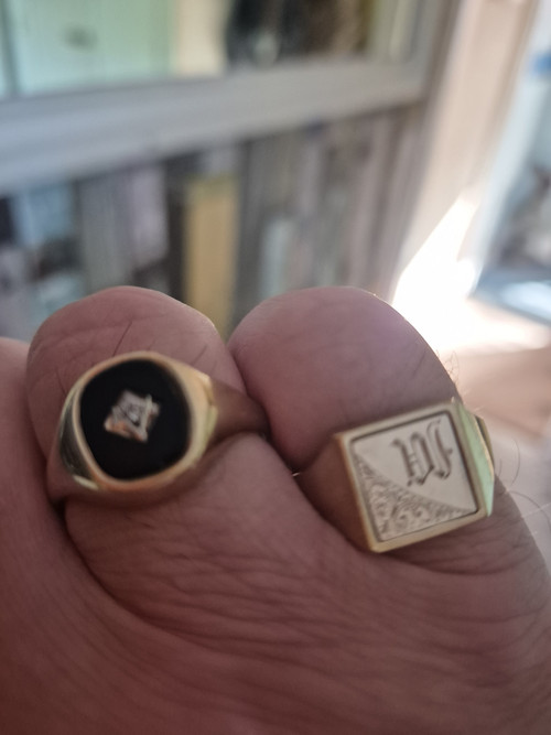 1000024731