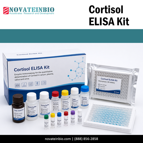 cortisol elisa kit.png