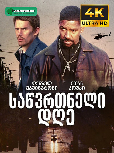 Training Day cover.jpg
