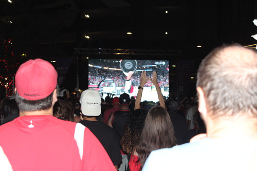 IMG 3479.jpg