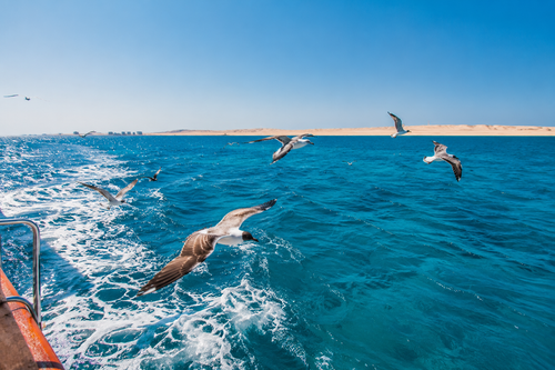 Wycieczka na Orange Bay z Hurghady - parasole i pufy na plaży