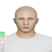 4672983fffa6.png