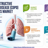 httpswww.24lifesciences.com 2026 06 26T122753.762