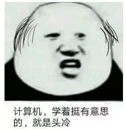 程序员反应图：程序员00021 计算机学着挺有意思的就是头冷