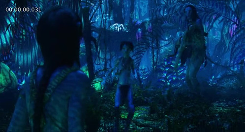 SS.Avatar.Fire.and.Ash.2025.480p.BluRay.HIN ENG.x264.MSub katmoviefix.rest 01.jpg