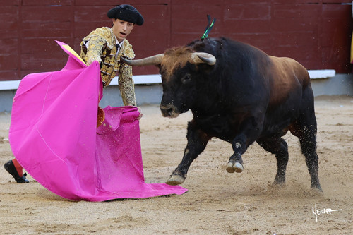 215A0671.jpg