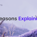 Seasons Explainer Video Thumbnail — Lavender PNG
