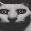 lolo.png
