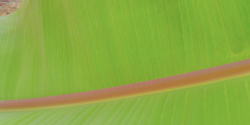 temp.png