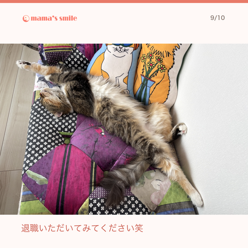 cc4cd4b9239d.png