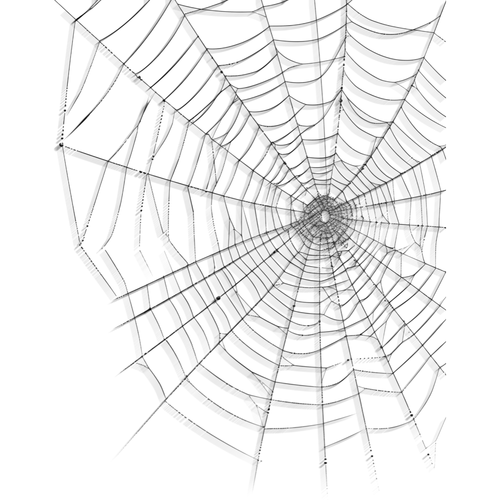 1782477440303.png