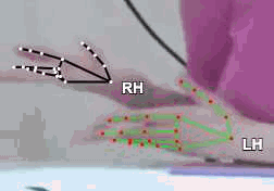 6b1ed9574051.gif
