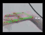 6d3adbaff080.gif