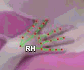 1f5974a12b53.gif