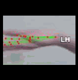 9ae5047603ec.gif