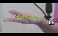 d79a9d2c3159.gif