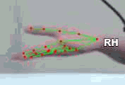 b70761a0420b.gif