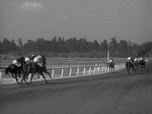 Thoroughbreds Don't Cry.1937.DVDrip.AC3.x264 Rony.mkv 20260625 181403.339.png