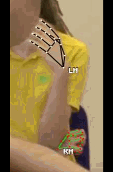 c736327654b1.gif