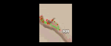 d6b041a6c30f.gif
