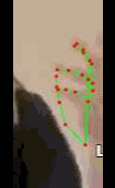 38aa37a2c4ae.gif