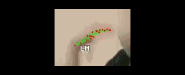 05cee356a6f8.gif