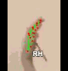 ca090b0d7c05.gif
