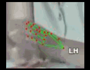 bf1565baacfe.gif